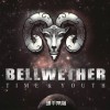 头羊乐队（Bellwether） - 呼喊