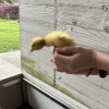 不甘平凡