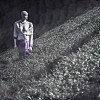 濛沙煙个愛