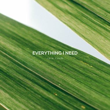 Everything I Need