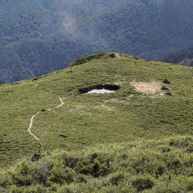 Track（GLM）