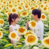 最後分別的夏天 Summer Tail