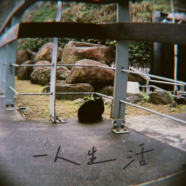 一人生活demo