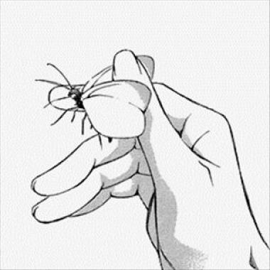 圈走