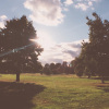 Going to Hyde Park
