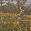紅水烏龍（demo）