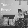 Tranquil Breeze ( handpan version)