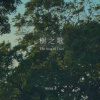 樹之歌 The Songs of Trees. ( Instrumental ）