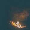 燈光 ( slow version) （demo）