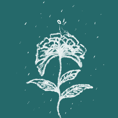 八月雨