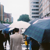 晚上會下雨嗎 (demo)