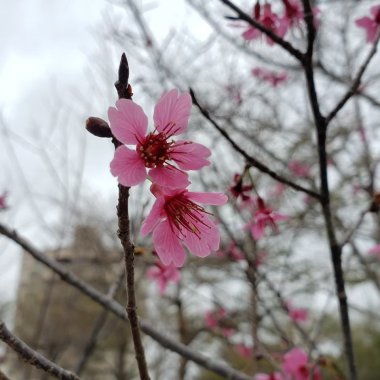 㷀㷀孑立，形影相弔