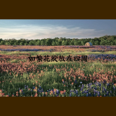 如繁花綻放在四周