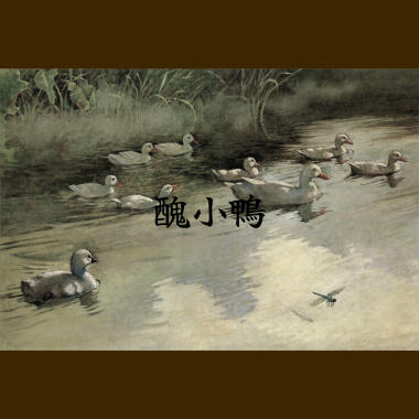 醜小鴨