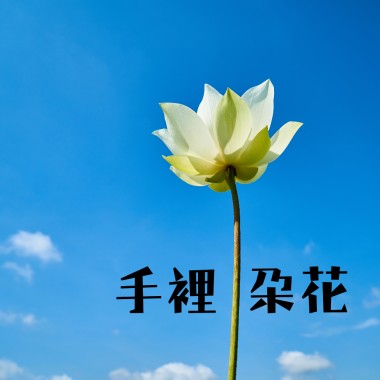 手裡一朵花 (demo:2019)