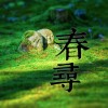 春尋 (demo)