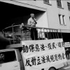 請以領養代替購買