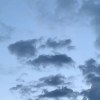 Forever Young (Cover)