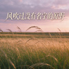 风吹过没有名字的原野