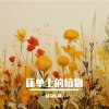 床单上的植物