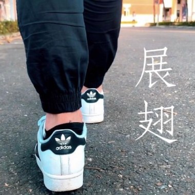 展翅