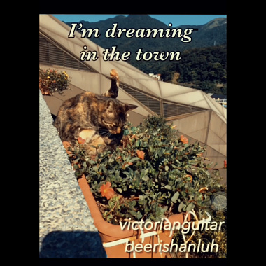 Dreaming in the town