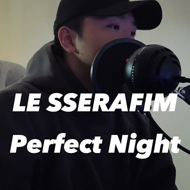 Perfect Night (V!kk cover)