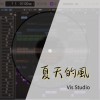 夏天的風｜Vis Studio