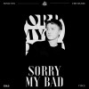Sorry My Bad