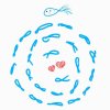 fish in love (demo)