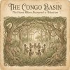 Chapter 3: The Congo Basin — The Forest Where Everyone's a Musician