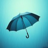 Broken Umbrella