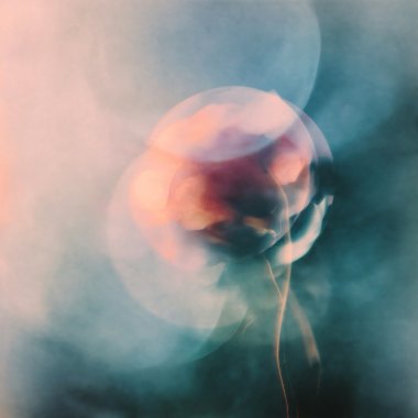 一瞬的温存(Ephermeral Embrace)