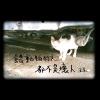 旁邊(餵動物的人都不是壞人)