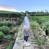 My红糖
