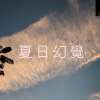 夏日幻觉