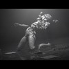 Fragments