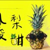 《鳳梨酸甜》 謝宗霖 feat. 王彙筑