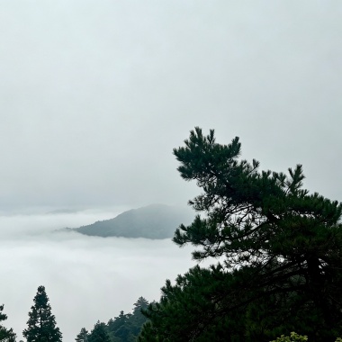 停下来的云