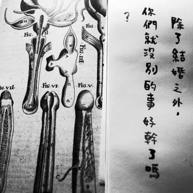合法ㄉ愛人最後還是贏ㄌ