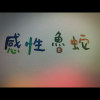 感性魯蛇的演化過程（假acoustic）