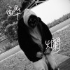 醉爛 (demo)