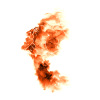 I am the flame