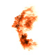 I am the flame