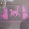街貓 Street Cat_木吉他版