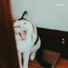 茱莉