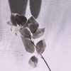 Miss u…(Demo)