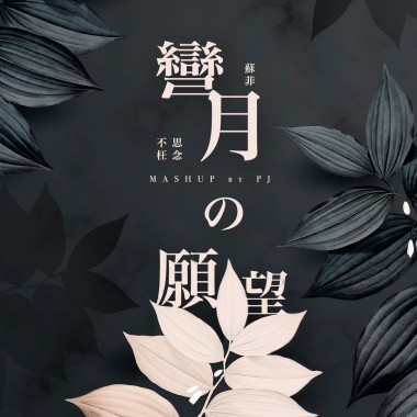 彎月蘇菲不枉思念的願望 (Mashup) - PJ