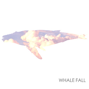 Whale Fall -《10點59 我從工廠下班離開回家》demo