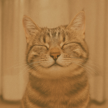 我不是不快樂，我只是看起來很像